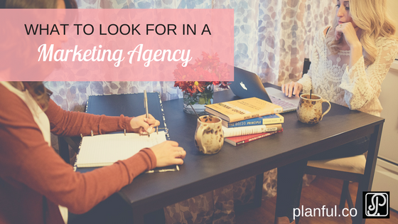 what to look for in a marketing agency